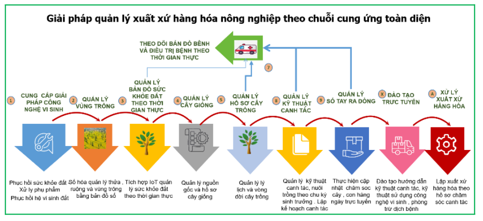 Giải pháp vi sinh mật độ cao ứng dụng trong nông nghiệp tuần hoàn theo định hướng ESG