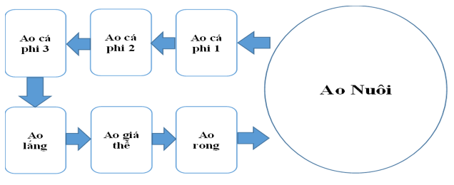 Quy trình nuôi tôm thẻ chân trắng (Litopenaeus vannamei) siêu thâm canh trong hệ thống tuần hoàn kết hợp đa loài