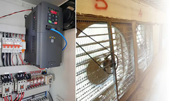 Giải pháp sử dụng biến tần cho hệ thống thông gió trang trại chăn nuôi