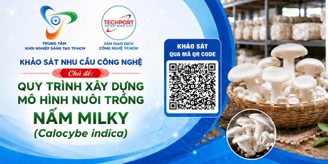 Mời tham gia khảo sát nhu cầu công nghệ quy trình nuôi trồng nấm milky (Calocybe indica)