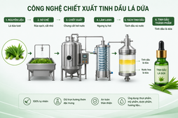 Tìm kiếm Công nghệ chiết xuất tinh dầu lá dứa