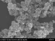 Quy trình sản xuất phân bón lỏng chứa hạt Nano Hydroxyapatit (HAp) pha tạp Magie (Mg) cung cấp khoáng có kiểm soát cho cây trồng