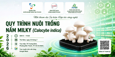 Sự kiện Hợp tác công nghệ "Quy trình nuôi trồng nấm Milky (Calocybe indica)"