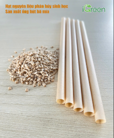 Igreen – Công nghệ tạo hạt nhựa sinh học từ nguyên liệu thực vật