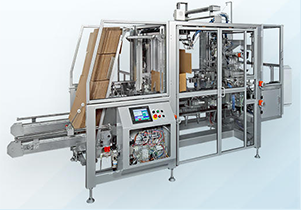 Case packer & cartoning machine FW625