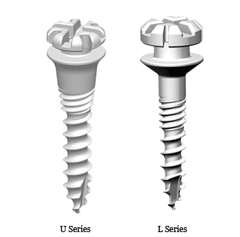 Orthodontic Screw (Mplant & SL)