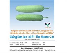 Hạt giống - Dưa leo Hunter 2.0