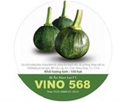 Hạt giống - Bí (Giống: non, đỏ hạt đậu, hạt đậu dài, đỏ Vino và siêu ngọt)