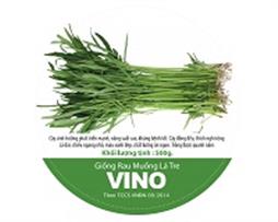 Hạt giống - Rau muống lá tre Vino