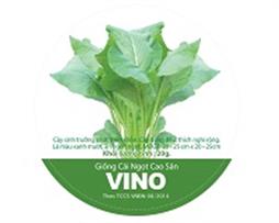 Hạt giống - Cải ngọt cao sản Vino