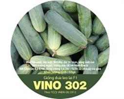 Hạt giống - Dưa leo (Vino 302, Vino 702)