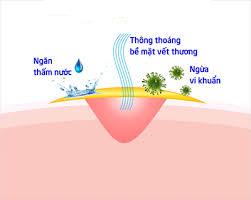 Sáng chế Màng polyme sinh học dùng trong y tế