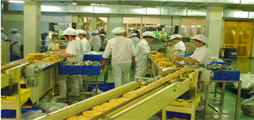 Dây chuyền sản xuất mì ăn liền