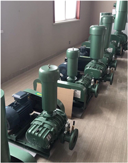 Máy thổi khí ZHENGLIN ZLE_100W