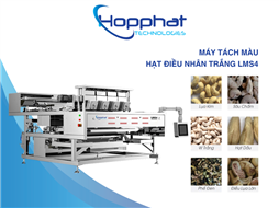 Máy bắn màu hạt điều nhân trắng LMS4