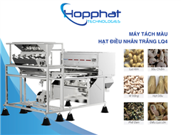 Máy bắn màu hạt điều nhân trắng LQ4