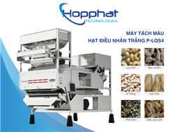 Máy bắn màu hạt điều nhân trắng P-LQS4