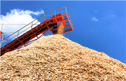 Quy trình tái tạo sinh khối