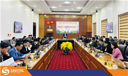 Giải pháp hội nghị truyền hình dành cho cơ quan cấp tỉnh, thành phố