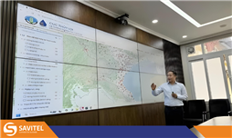 Giải pháp hội nghị truyền hình cho sở/bộ ban ngành